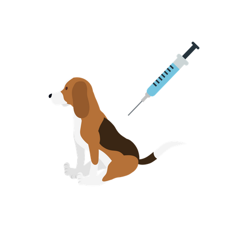 Vaccination Of A Dog  Illustration