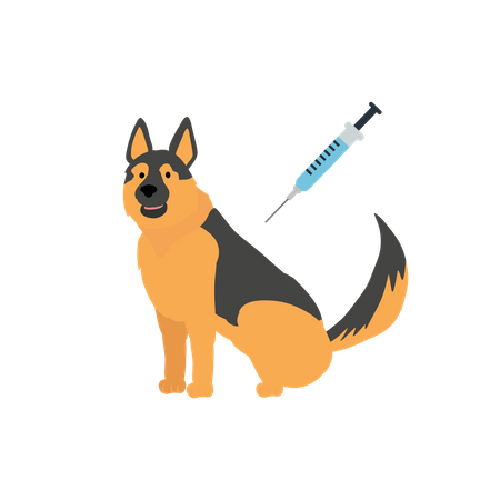 Vaccination Of A Dog  Illustration