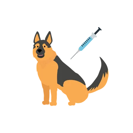 Vaccination Of A Dog  Illustration