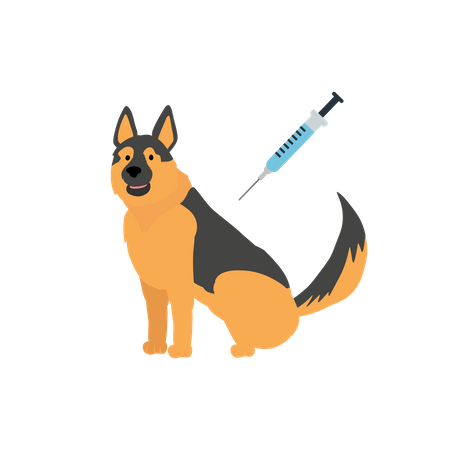Vaccination Of A Dog  Illustration