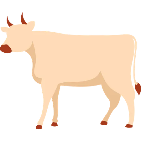 Vache  Illustration