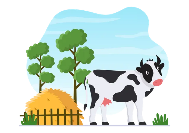 Vache laitière  Illustration