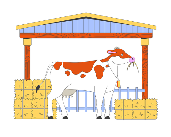 Vache mangeant du foin dans la grange  Illustration