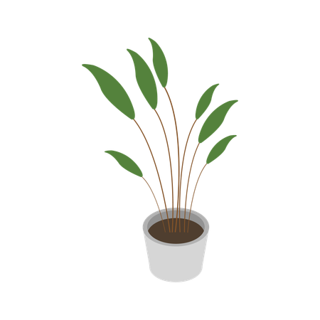 Vase à plantes  Illustration