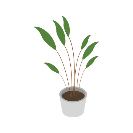 Vase à plantes  Illustration