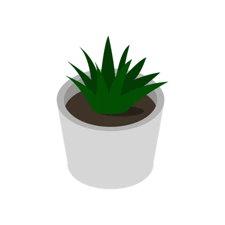 Vaso de planta  Ilustração