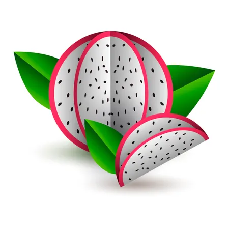 Vector Tropical Summer Exotic Fruit Paper Cut Volumetric Origami Isolated Color Object On White Background Dragon Fruit Pitahaya And Lobule Illustration