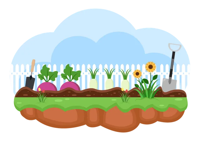 Vegetables farming Illustration