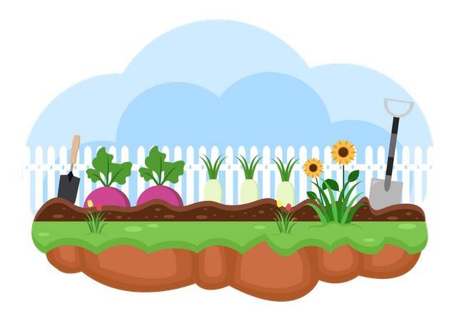 Vegetables farming  Illustration