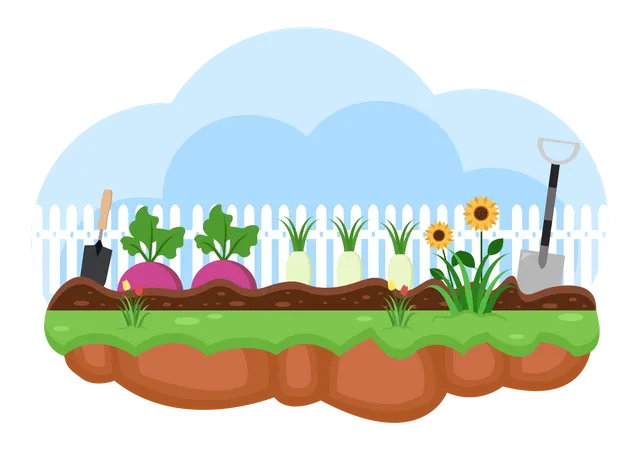 Vegetables farming  Illustration