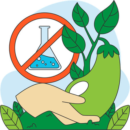 Vegetables should be grown without using chemicals  Illustration