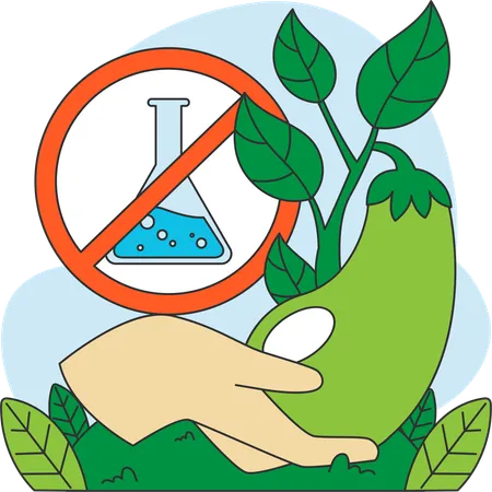 Vegetables should be grown without using chemicals  Illustration