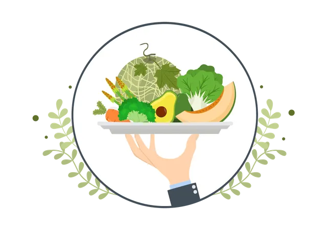 Vegetarian Dish Illustration