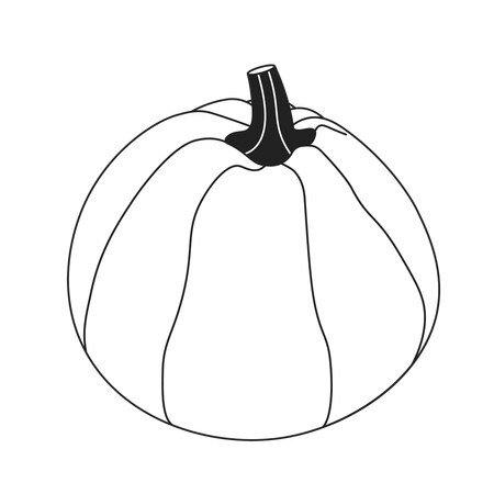 Vegetarian natural pumpkin  Illustration