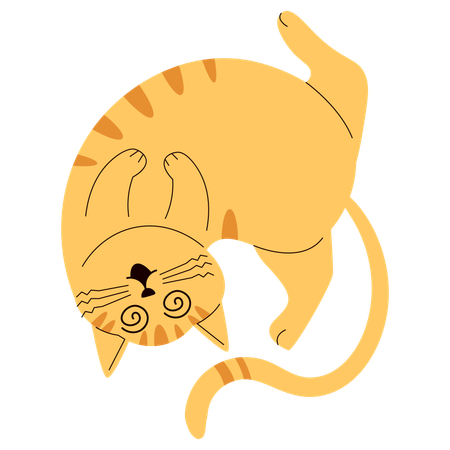 Verwirrte Katze  Illustration