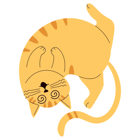 Verwirrte Katze  Illustration