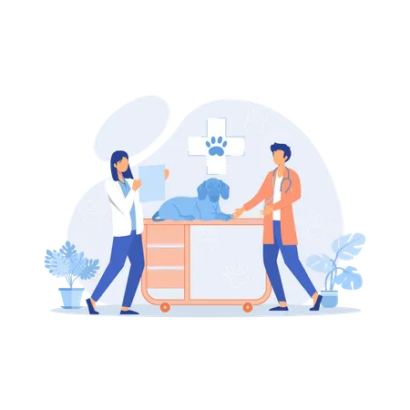 Vet clinic hospital  Illustration