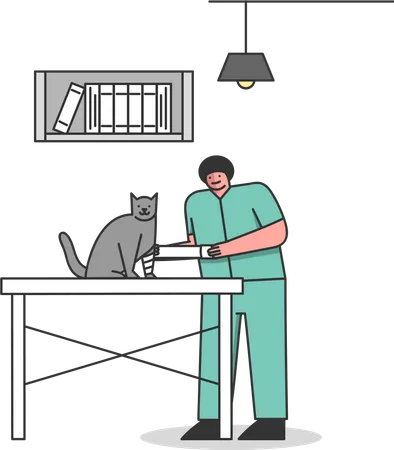 Vet doctor treating cat with injury Illustration
