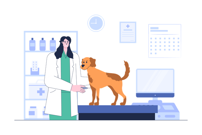 Un vétérinaire administre un vaccin au chien  Illustration