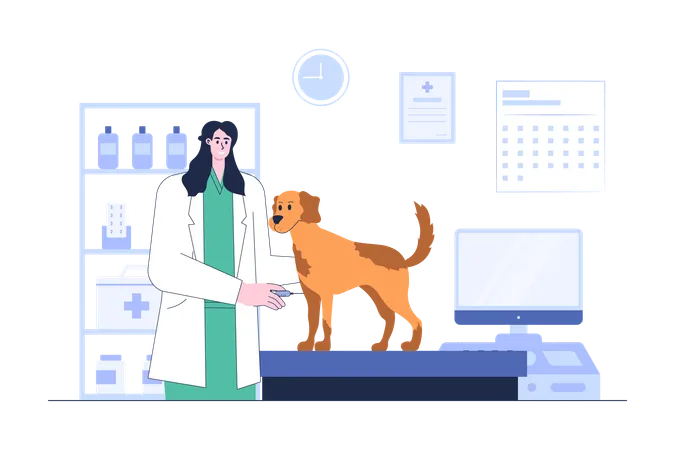 Un vétérinaire administre un vaccin au chien  Illustration