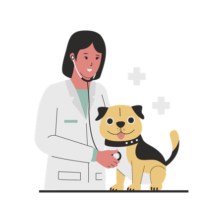 Vétérinaire femme médecin vérifiant le chien  Illustration