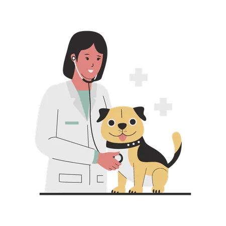 Vétérinaire femme médecin vérifiant le chien  Illustration