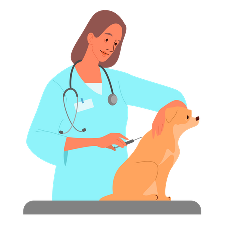 Médecin vétérinaire donnant la vaccination des animaux de compagnie  Illustration