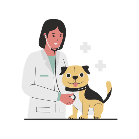 Médica veterinária verificando cachorro  Ilustração