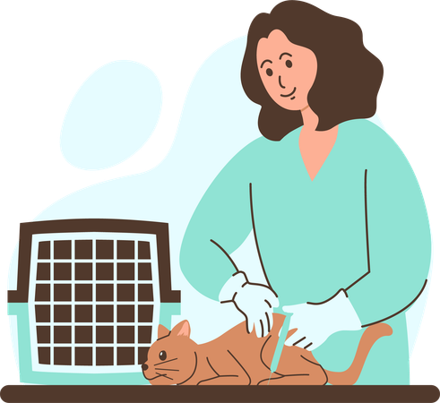 Veterinarian Administering A Vaccination To A Cat In A Clinic  Illustration