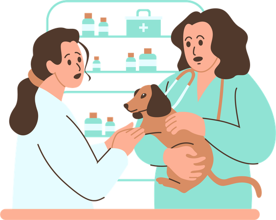 Veterinarian Administering A Vaccination To A Dog In A Clinic  Illustration