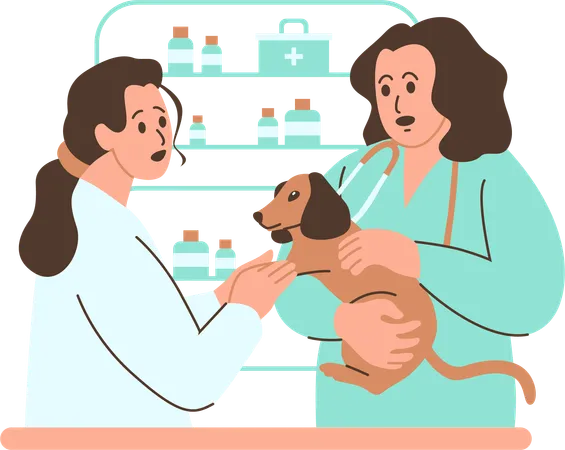 Veterinarian Administering A Vaccination To A Dog In A Clinic  Illustration