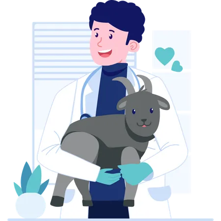 Veterinarian carrying baby goat  Illustration