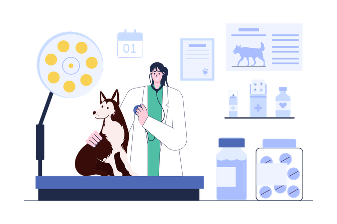 Veterinarian Examining Dog's health  Illustration