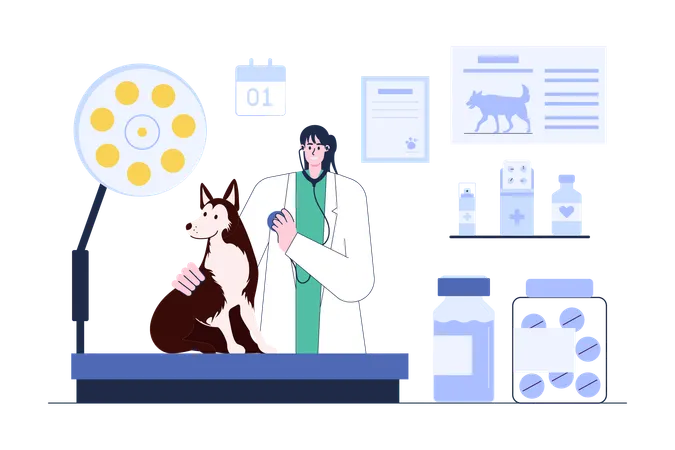 Veterinarian Examining Dog's health  Illustration