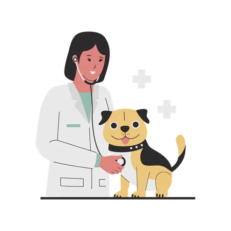Veterinarian female doctor checking dog  일러스트레이션