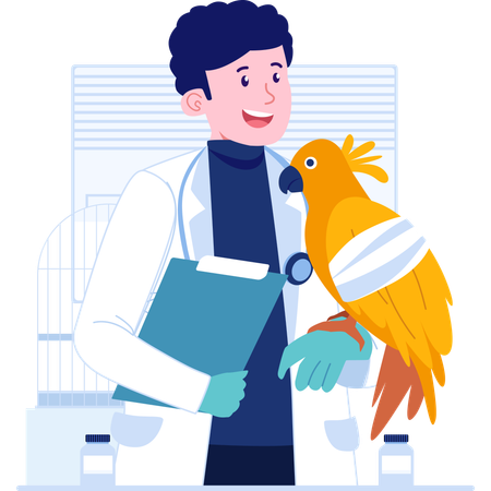 Veterinarian holding big parrot  Illustration