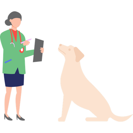 Veterinarian is examining a dog  イラスト