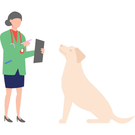 A Veterinarian Is Examining A Dog Illustration