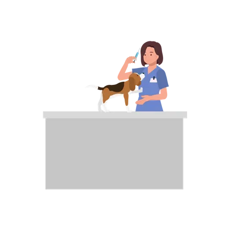 Professional Veterinarian With Pets Veterinarian With Syringe Female Veterinarian Going To Give Vaccine To Dog Flat Vector Cartoon Illustration Illustration