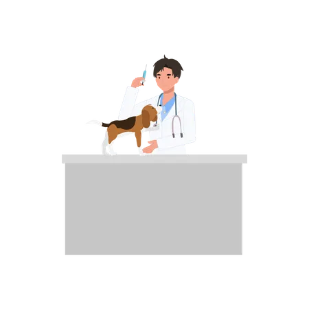 Professional Veterinarian With Pets Veterinarian With Syringe Male Veterinarian Going To Give Vaccine To Dog Flat Vector Cartoon Illustration Illustration