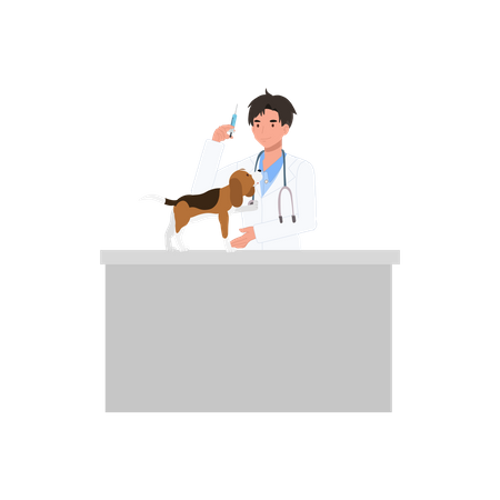 Veterinarian With Syringe  Illustration