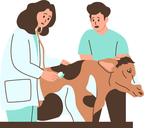 Veterinário examinando uma vaca em uma clínica  Ilustração