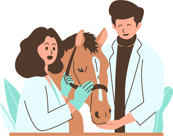 Veterinario examinando un caballo en una clínica  Illustration