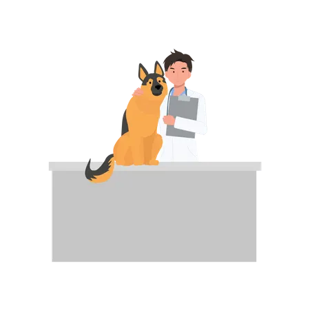 Veterinarian Team And Dog In The Clinic Veterinary Clinic Healthcare Service Or Medical Center For Domestic Animals Flat Vector Cartoon Illustration Illustration