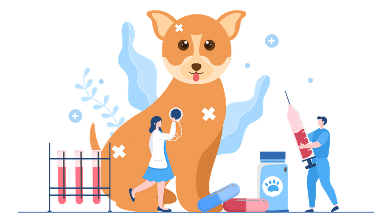 Veterinary Clinic For Pets Illustration
