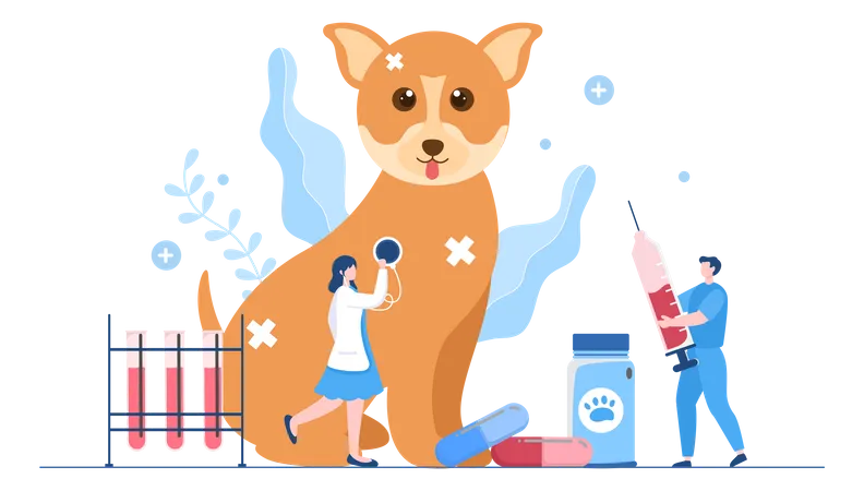 Veterinary Clinic For Pets  Illustration