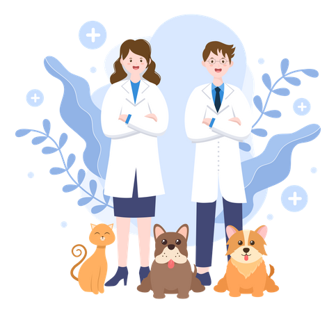 Veterinary Clinic  Illustration