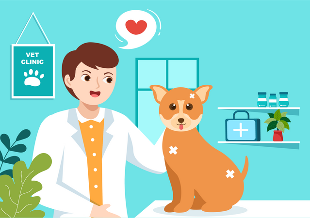 Veterinary Clinic  Illustration