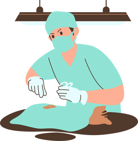 Veterinary Clinic Surgery Cat  Illustration