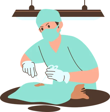 Veterinary Clinic Surgery Cat  Illustration